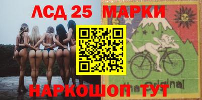гидропоника Камышлов
