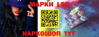 гидропоника Камышлов