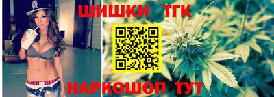 гидропоника Камышлов