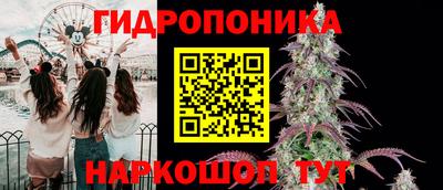 стафф Канаш