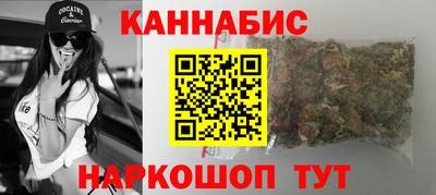 гидропоника Камышлов