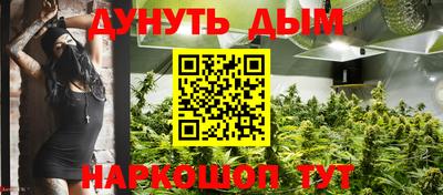 гидропоника Камышлов