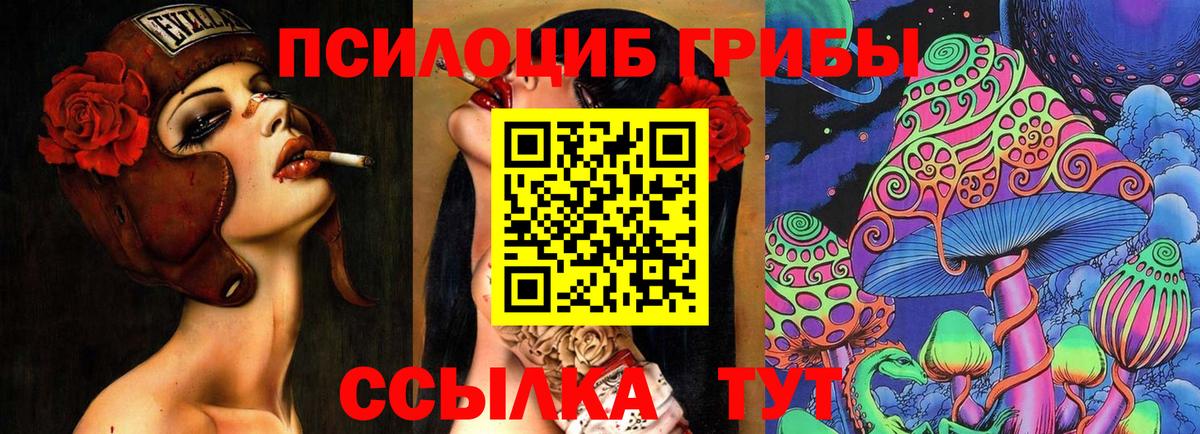 Галлюциногенные грибы Psilocybine cubensis Холмск