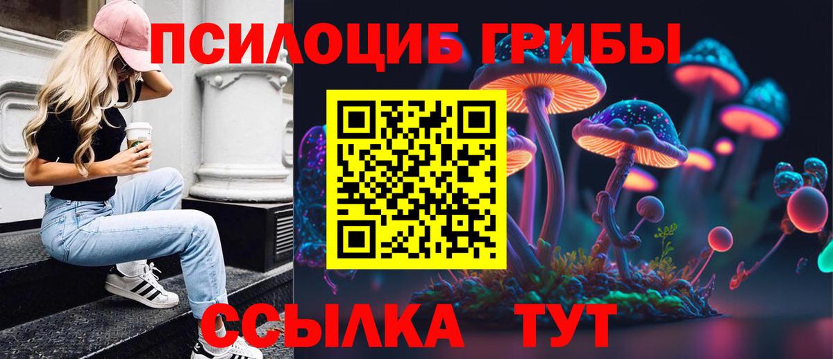 Галлюциногенные грибы Magic Shrooms  Вход с VPN  где купить   Холмск 